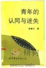 青年的认同与迷失（1993 PDF版）