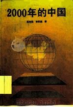 2000年的中国 1994 PDF电子版封面 7503510137 沈伟光,李家彪著