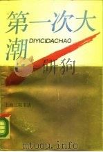 第一次大潮（1989 PDF版）