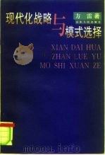 现代化战略与模式选择（1996 PDF版）