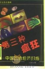 第三种疯狂 中国灰色经济扫描 1992 PDF电子版封面 7540709823 贺晓林著