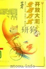 开放大潮下的生活方式 1995 PDF电子版封面 7500617526 童星等著