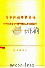 改革阵痛中的觉悟 时代的挑战与中青年理论工作者的思考 1987 PDF电子版封面 7200004197 罗荣兴等著