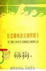 在总路线的光辉照耀下（1958 PDF版）