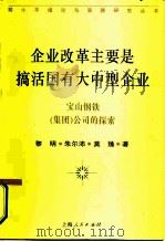 企业改革主要是搞活国有大中型企业 宝山钢铁 集团 公司的探索 1994 PDF电子版封面 7208018448 黎明等著