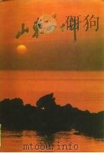 山东四十年（1989 PDF版）