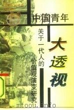 中国青年大透视  关于一代人的价值观演变研究（1993 PDF版）