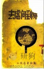 世界到何处去（ PDF版）