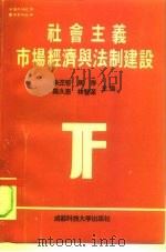 社会主义市场经济与法制建设（1994 PDF版）