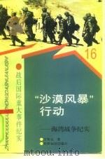 “沙漠风暴”行动  海湾战争纪实（1997 PDF版）