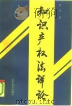 知识产权法详论（1994 PDF版）