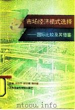 市场经济模式选择  国际比较及其借鉴（1995 PDF版）