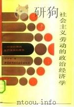 社会主义劳动的政治经济学 一种新的商品生产体系的探索 1990 PDF电子版封面 7507404374 张泽荣著