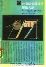 公有制宏观经济理论大纲 1990 PDF电子版封面 754260323X 樊纲等著