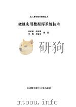 微机实用数据库系统技术（1992 PDF版）