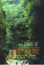 中国古人类遗址 1999 PDF电子版封面 7542819755 吴汝康,吴新智主编
