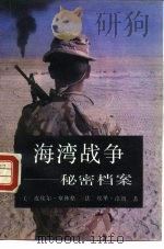 海湾战争  秘密档案（1991 PDF版）