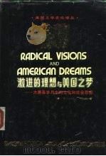 激进的理想与美国之梦 大萧条岁月中的文化和社会思想 1992 PDF电子版封面 7810096400 (美)佩尔斯(Pells,Richard H.)著;卢允中等