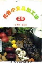 花色小食品加工法  续集（1996 PDF版）