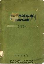 原子核反应堆理论纲要（1958 PDF版）