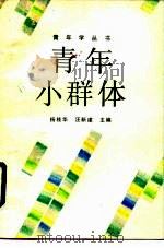 青年小群体（1989 PDF版）
