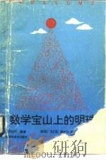 数学宝山上的明珠（1993 PDF版）