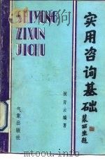 实用咨询基础（1990 PDF版）