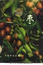 枣（1982 PDF版）