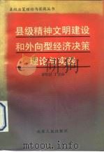 县级精神文明建设和外向型经济决策理论与实践（1990 PDF版）