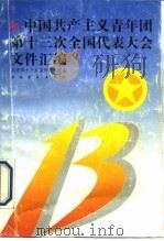 中国共产主义青年团第十三次全国代表大会文件汇编 1993 PDF电子版封面 7500613822 共青团十三大文件起草组编