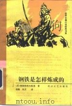 钢铁是怎样炼成的 1996 PDF电子版封面 7806113347 (苏)奥斯特洛夫斯基著;仰熙,凤芝译