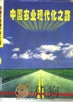 中国农业现代化之路  上（1995 PDF版）