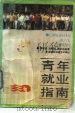 青年就业指南（1990 PDF版）