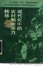 现代化中的农村剩余劳力转移 1993 PDF电子版封面 7500411588 郭庆著
