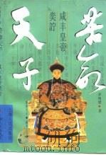 苦命天子 咸丰皇帝奕詝 1995 PDF电子版封面 7208020795 茅海建著