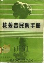 核袭击民防手册（1982 PDF版）