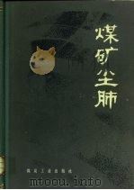 煤矿尘肺（1984 PDF版）