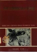 煤矿尘肺病理组织学图谱（1988 PDF版）