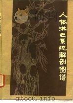 人体淋巴系统解剖图谱（1982 PDF版）