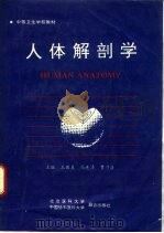人体解剖学（1994 PDF版）
