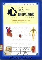 心脏的功能 从心脏的运作去了解你的健康 1995 PDF电子版封面 7218016537 (美)Ralph M.Myerson编著;丁孝弘等译