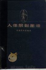人体解剖图谱  普及本（1973 PDF版）