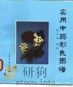 实用中药彩色图谱（1992 PDF版）