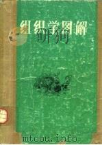 组织学图解（1990 PDF版）