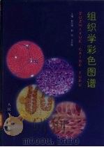 组织学彩色图谱（1999 PDF版）