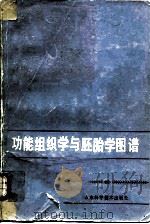 功能组织学与胚胎学图谱（1982 PDF版）