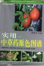 实用中草药原色图谱  2（1996 PDF版）