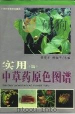 实用中草药原色图谱  4（1997 PDF版）