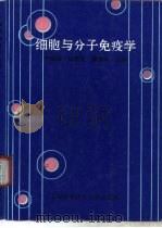 细胞与分子免疫学（1997 PDF版）
