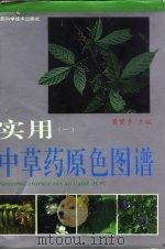 实用中草药原色图谱  1（1993 PDF版）